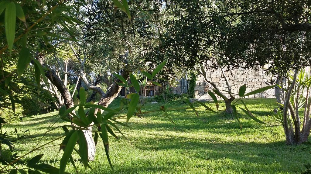 Tenuta Terenzano Торре-Сан-Джованни-Удженто Экстерьер фото