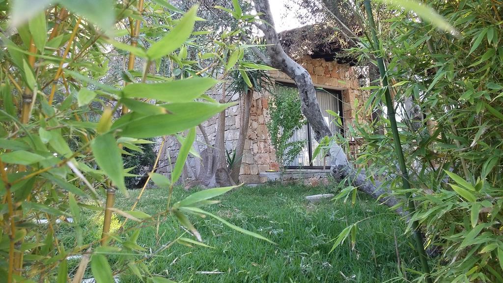 Tenuta Terenzano Торре-Сан-Джованни-Удженто Экстерьер фото